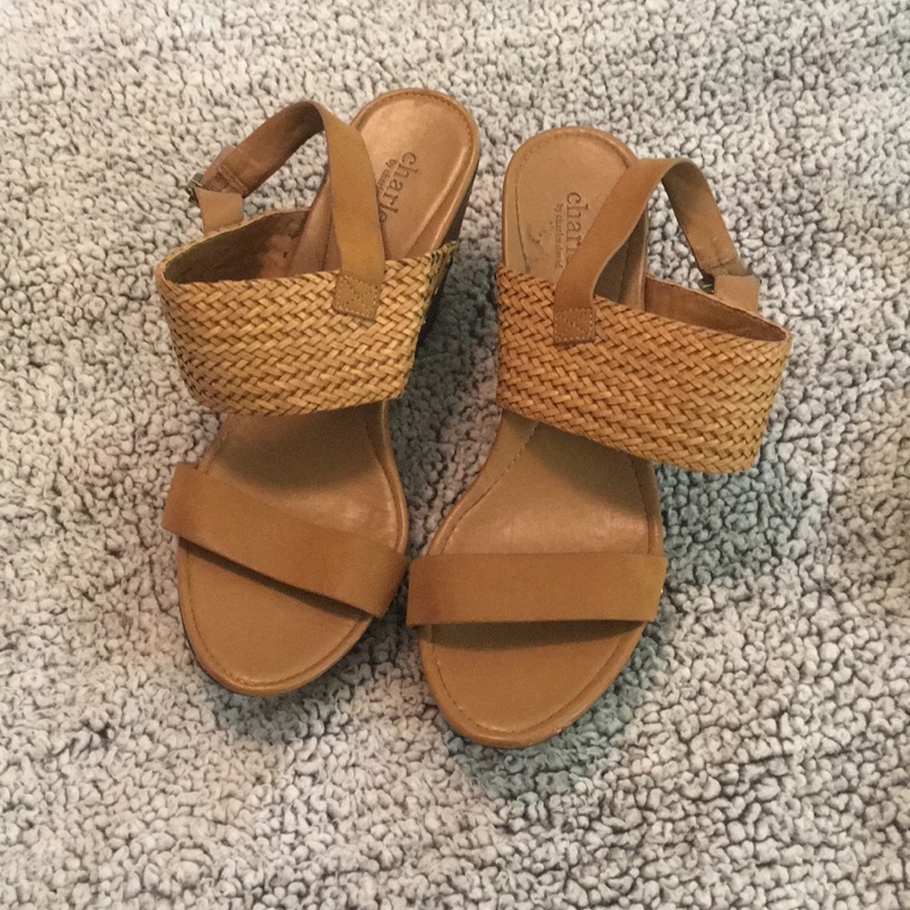 charles by charles david wedges